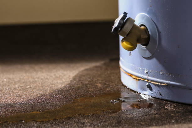 Best Water damage contractors near me  in Shell Ridge, CA