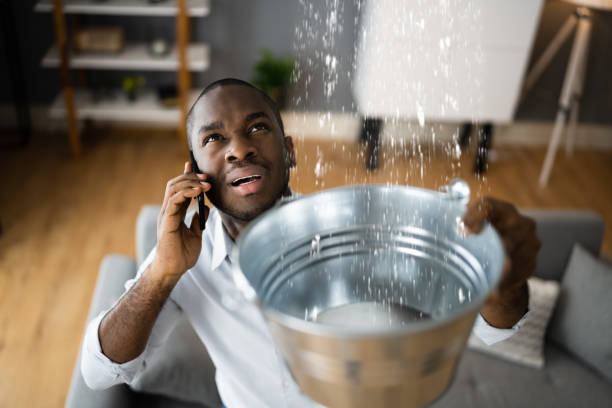 Best Water damage restoration near me  in Shell Ridge, CA