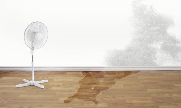 Best Water damage restoration near me  in Shell Ridge, CA