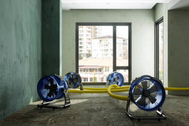 Best Local water damage restoration  in Shell Ridge, CA